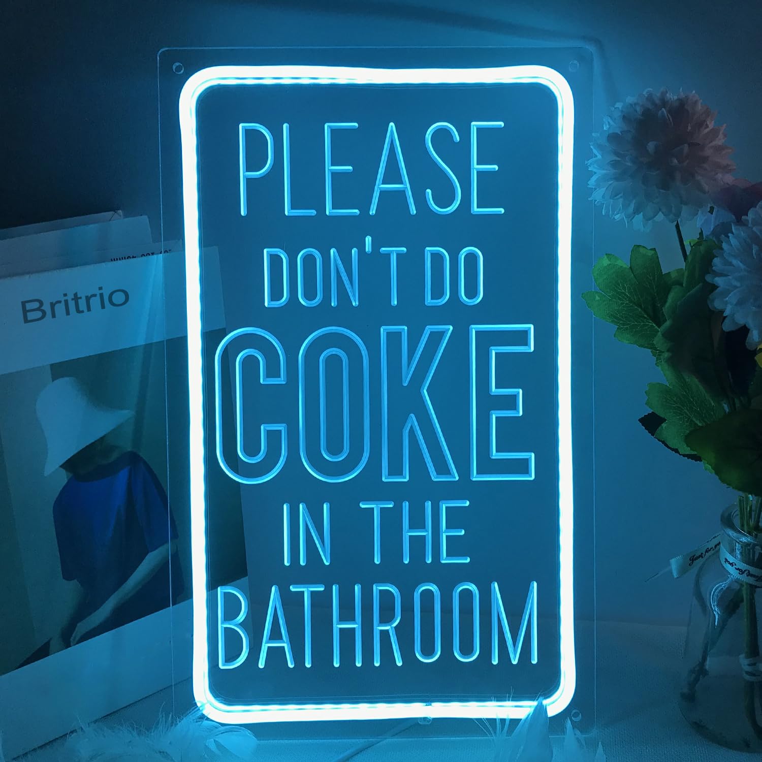 Britrio Please Don’t Do Coke in the Bathroom Neon Sign Wall Decor LED Bedroom Dorm Office Wall Art Light Up Word Neon Light Home Bar Club Cafe Shop Salon Man Cave Window Wedding Birthday Party Gift 5V USB Ice Blue