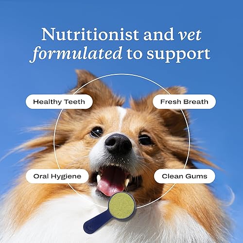 Miniatura 5 de PetLab Co. ProBright - Ambientador dental para el aliento de perro, fácil limpieza dental, se dirige al sarro y el mal aliento, formulado para