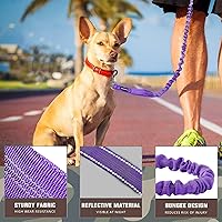 Vista 2 de AUROTH Correa Bungee de Servicio Pesado para Perros de Razas Medianas y Grandes, Sin Tirones para Absorción de Impactos con Cinturón de Seguridad