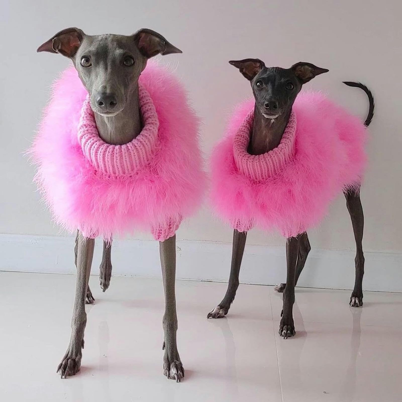 UOSIA Luxury Dog Sweater Fashion Winter Warm Dog Sweater Pet Party Pullover with Feather Puppy Coat for Small Medium Dogs(Pink,S)