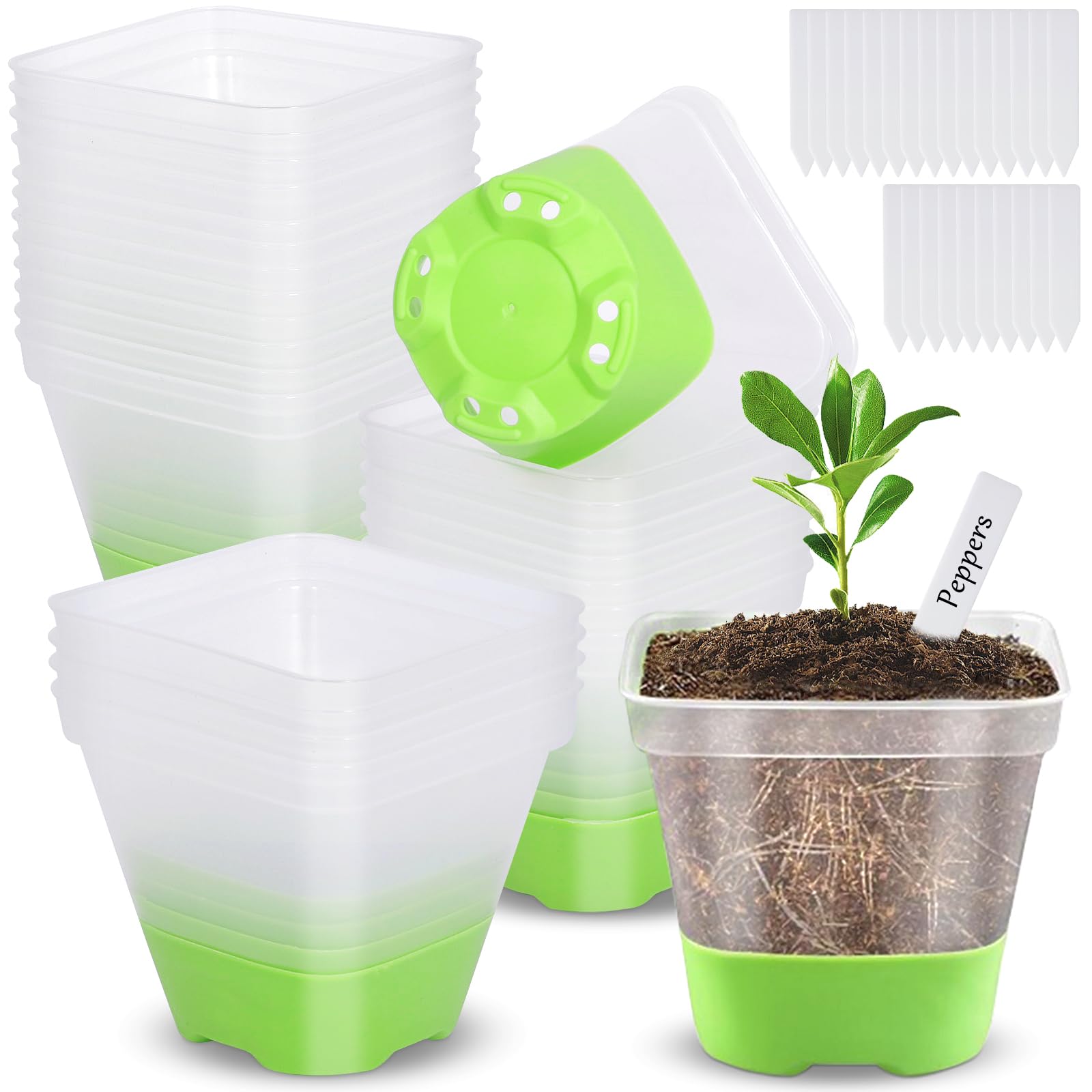 BBLTIFF Macetas para Semillas, 24Pcs 8cm Macetas de Cultivo Cuadrado con 24 Etiquetas para Plantas, Macetas para Semillas con Agujeros de Drenaje, Maceta Transparente para Trasplantar y Sembrar