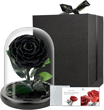 Syrabot Preserved Flowers in Glass Dome, Medium Forever Rose Gift, Delivery Flower, Long Lasting Forever Flower Rose Gift for Women, Mom, Wife, Girlfriend, Grandma Black