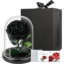 Syrabot Preserved Flowers in Glass Dome, Medium Forever Rose Gift, Delivery Flower, Long Lasting Forever Flower Rose Gift for Women, Mom, Wife, Girlfriend, Grandma Black