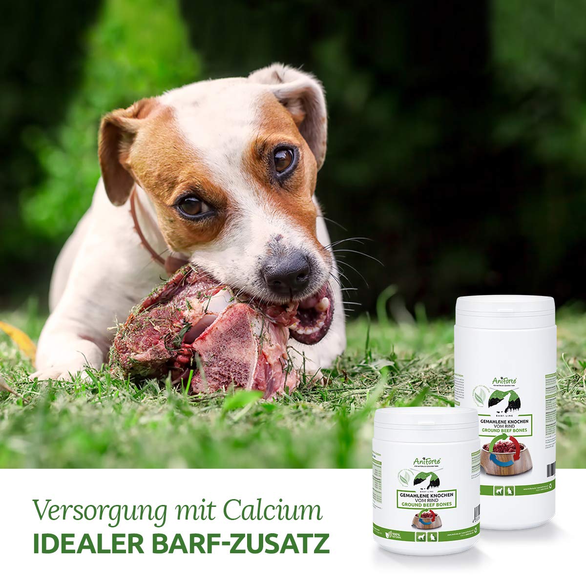 AniForte ground bones known as meat bone meal for dogs and cats 1 kg