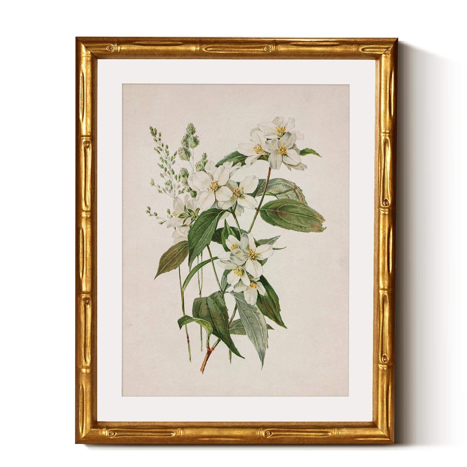 insimsea gold bamboo framed canvas wall art, neutral floral botanical paintings, antique vintage picture frame with mat, victorian home wall decor for living room bedroom, 11x14inch
