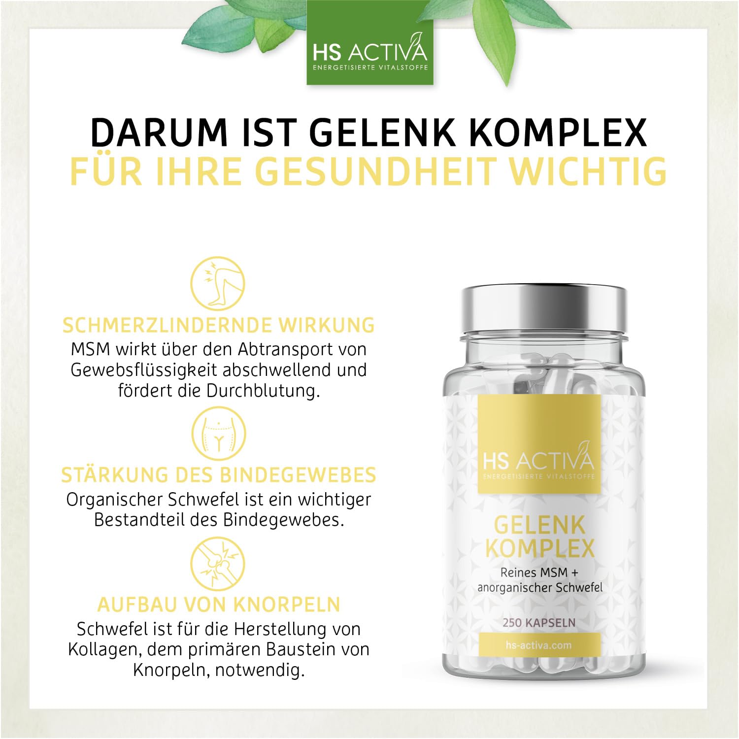 HS Activa Gelenk Komplex 250 MSM Kapseln hochdosiert, Methylsulfonylmethan
