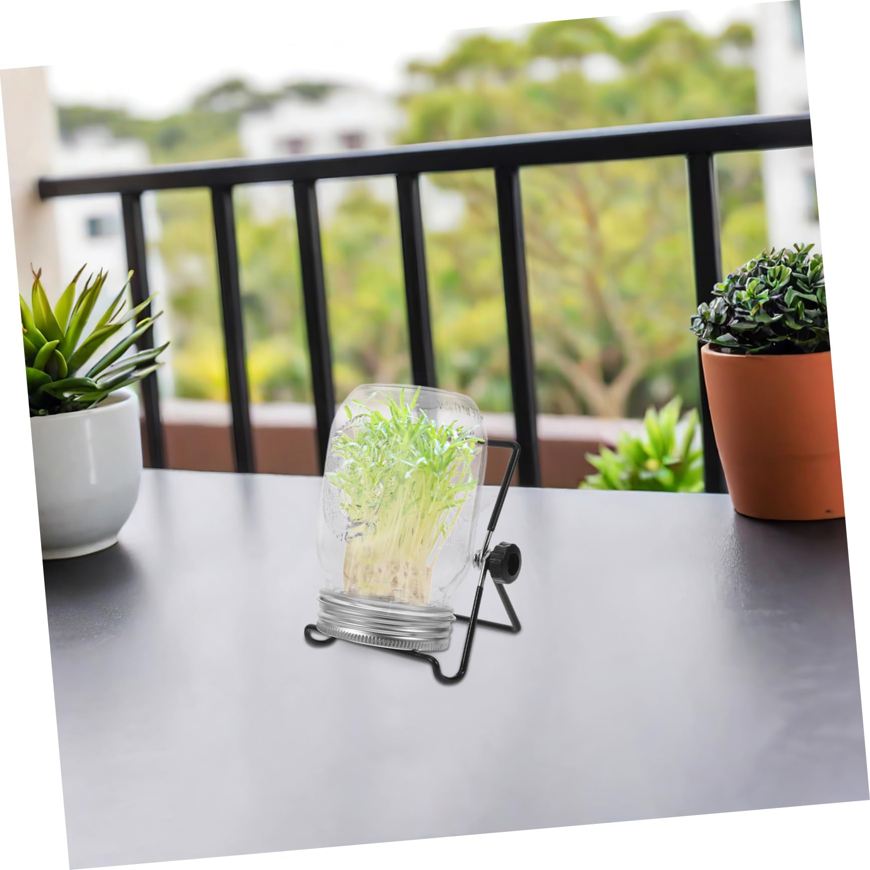 2 Juegos Kit de Germinación de Brotes con Tapa Colador de Acero Inoxidable y Soporte para Frascos de Almacenamiento para Microgreens y Brotes Casa y Fiestas