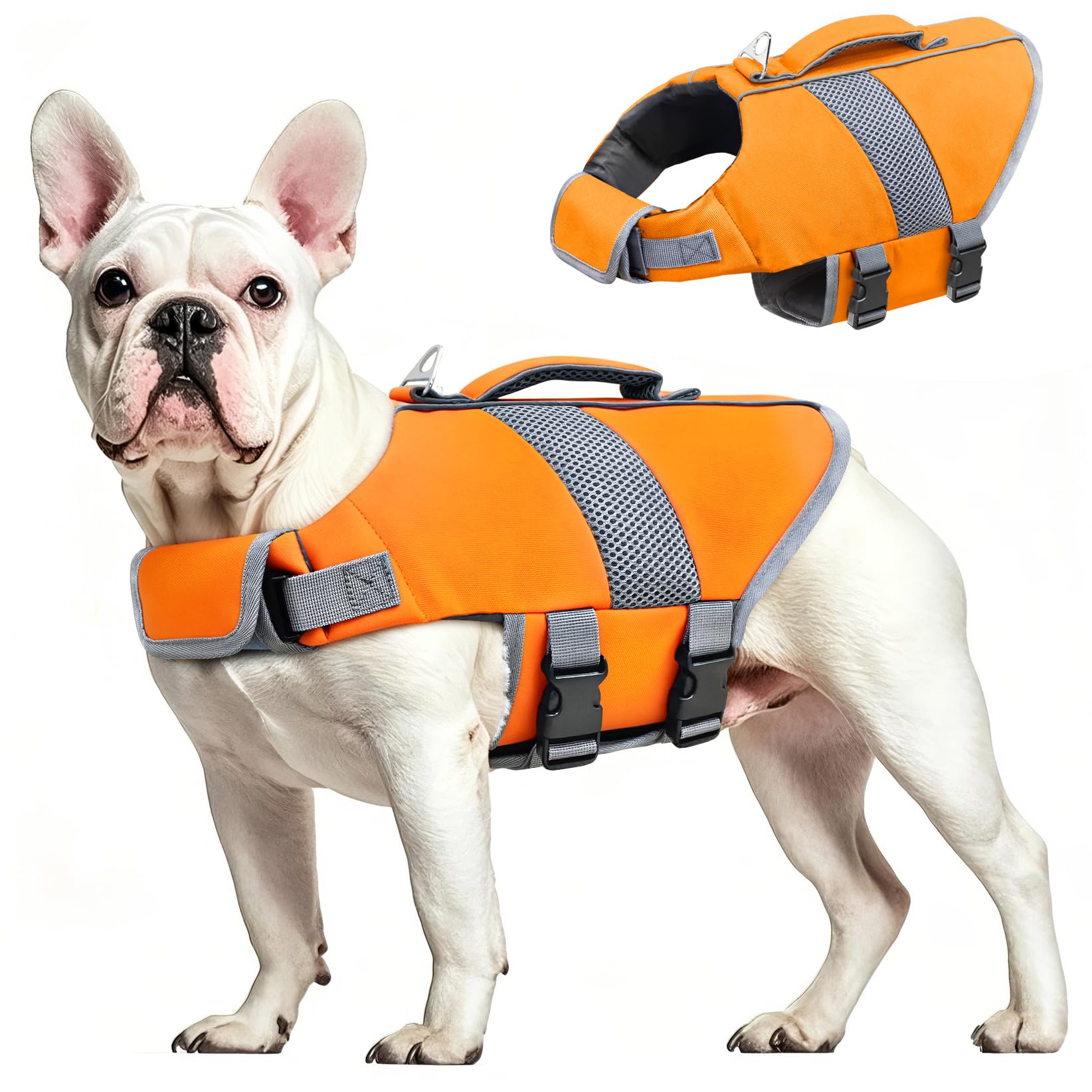 Salvagente Cane Giubbotto di salvataggio Alta Flotation, Cappotto riflettente per il nuoto Nautica Surf Kayak (XS)