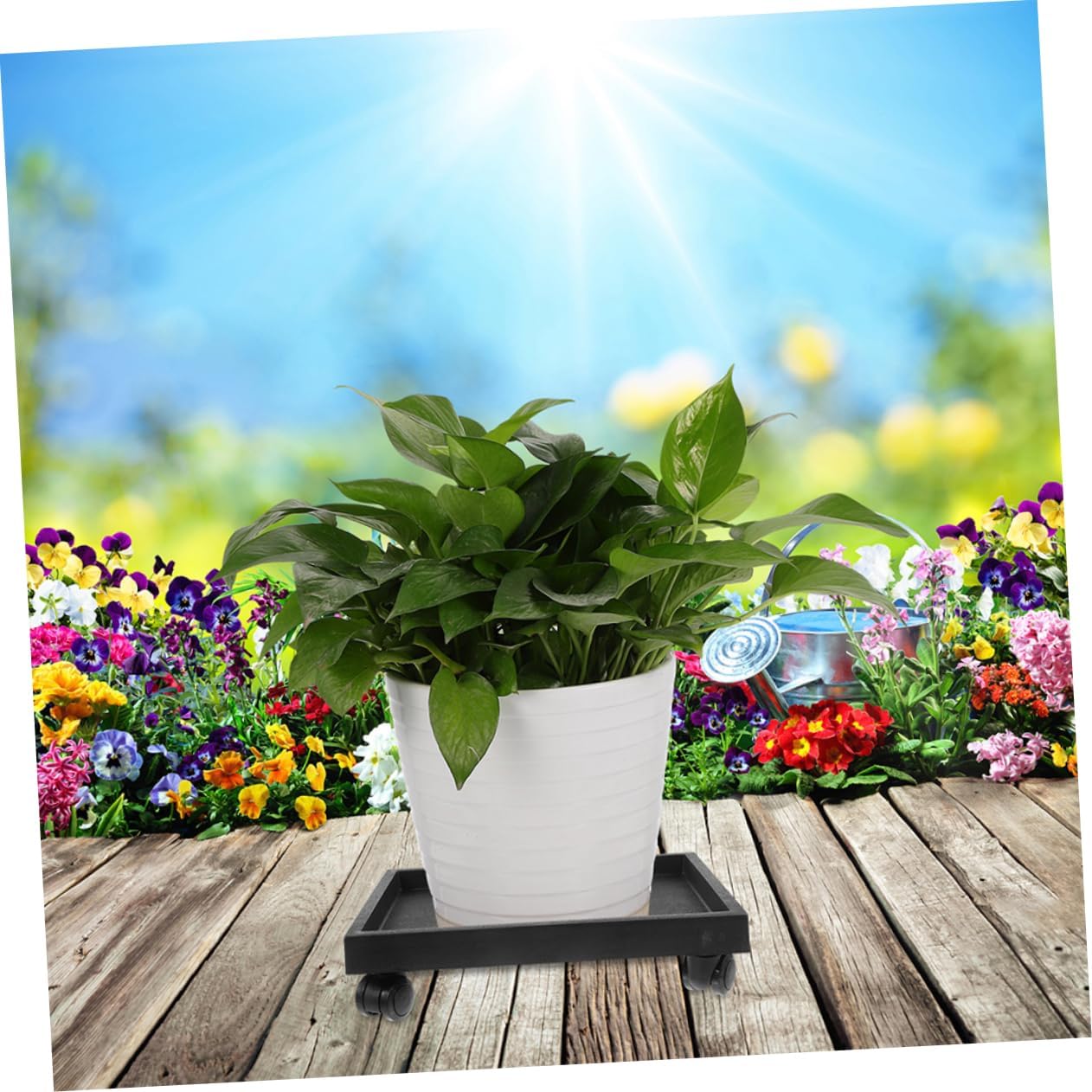 Rolling Plant Trolley with Wheels Heavy-Duty Plant Tray for Indoor and Outdoor Use Versatile Planter Stand with Smooth Casters and Flowerpots
