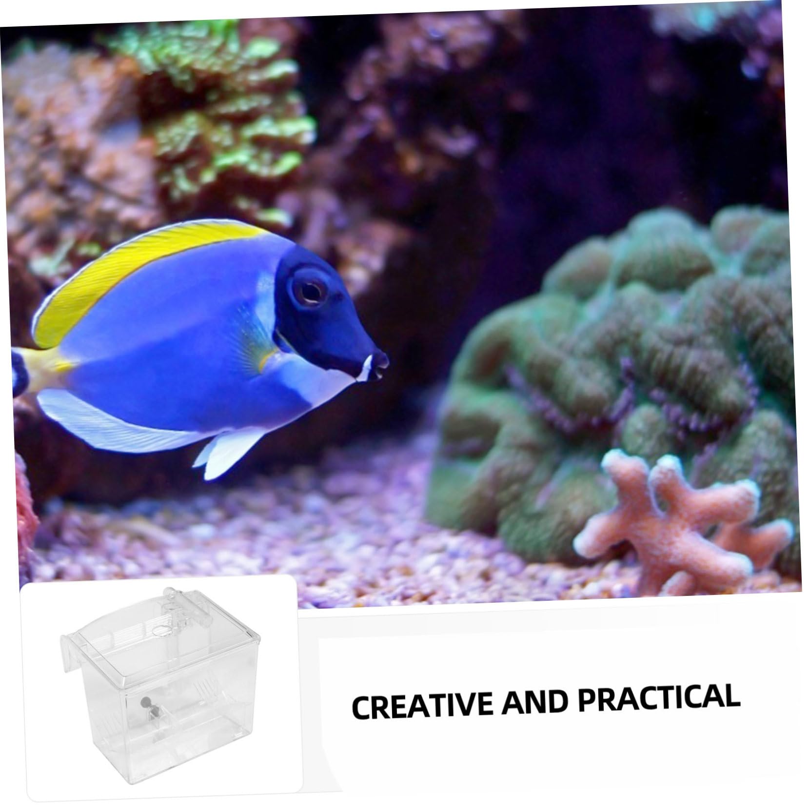 UKCOCO 1 Pieza Caja de Aislamiento Colgante para Acuarios Incubadora de Cría de Peces Material Resistente para Eclosión y de Alevines con Ventilación y de Agua Limpia