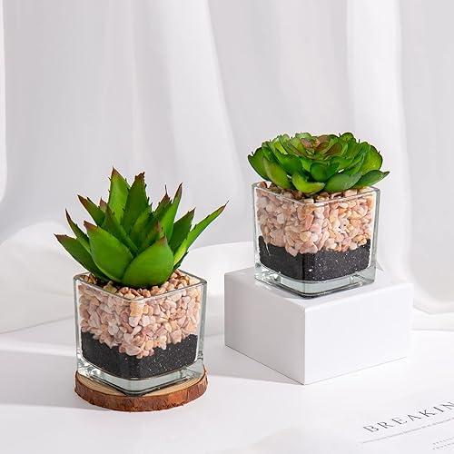 Miniatura 4 de Briful Mini plantas falsas, 3 paquetes de lindas suculentas artificiales en jarrón cuadrado de vidrio, maceta de imitación en maceta para sala de