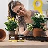 Soil Activator for Vegetables - Soil Conditioner & Softener,Natural Nutrients 60G Fertilizer for Houseplants Bean Fruit Flower Vegetable Evergreen Trees Garden Quick Start Planting