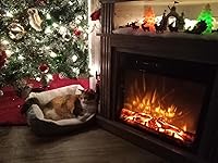 Review Image by Amy Piacitelli Amy Piacitelli