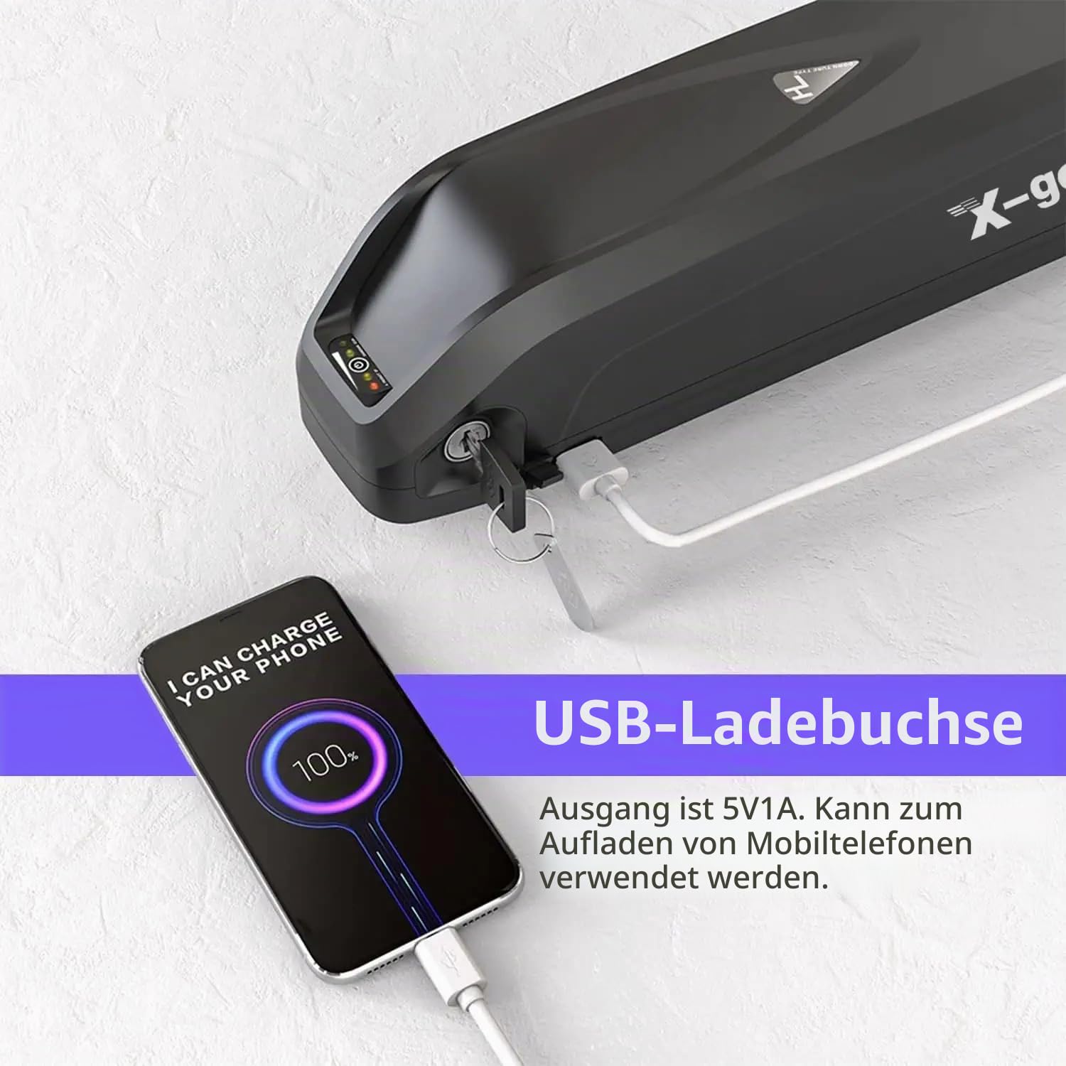 X-go E Bike Akku 48V 13AH, Ebike Batterie mit 5Pin Grundplatte Ladegerät USB Schnittstelle für 750W 500W 350W 250W Elektrofahrrad Motor, Hailong Lithium-Ionen Akku