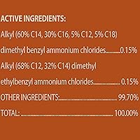Vista 2 de CloroxPro Clorox Total 360 Limpiador desinfectante, 128 onzas