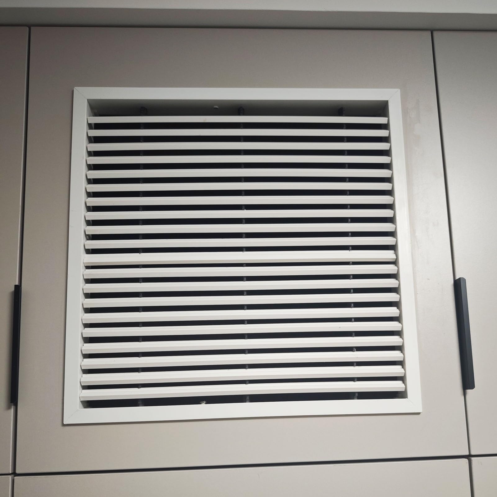 Trappe de ventilation d'inspection de grenier Sn-F mur et plafond