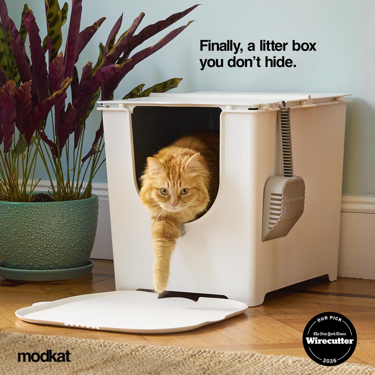 Amazon.co.jp: モデキャット (modkat) フリップリターボックス