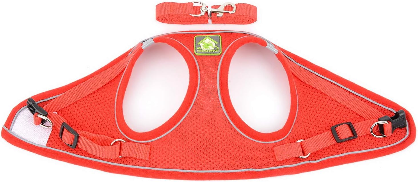 Zunea Small Dog Harness and Lead Set No Pull Puppy Vest Harnesses Adjustable Reflective Soft Mesh Step-in Pet Cat Harness Escape Proof for Walking Bright Colors for Dogs Red L - Image 5
