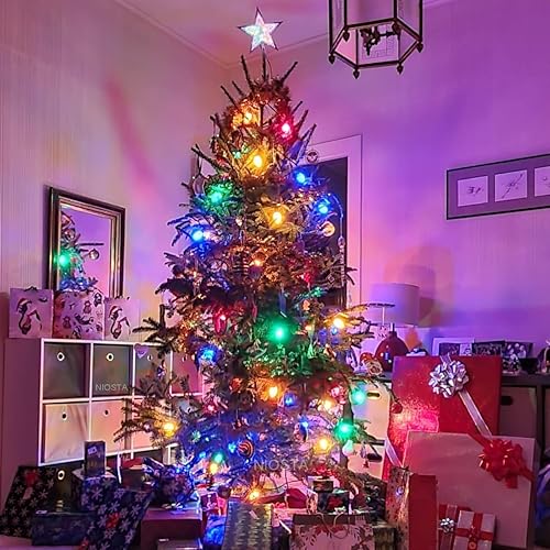 Miniatura 5 de NIOSTA Paquete de 25 bombillas de repuesto G40 multicolor opacas, filamento incandescente de 5 W y base de candelabro E12, bombilla decorativa de