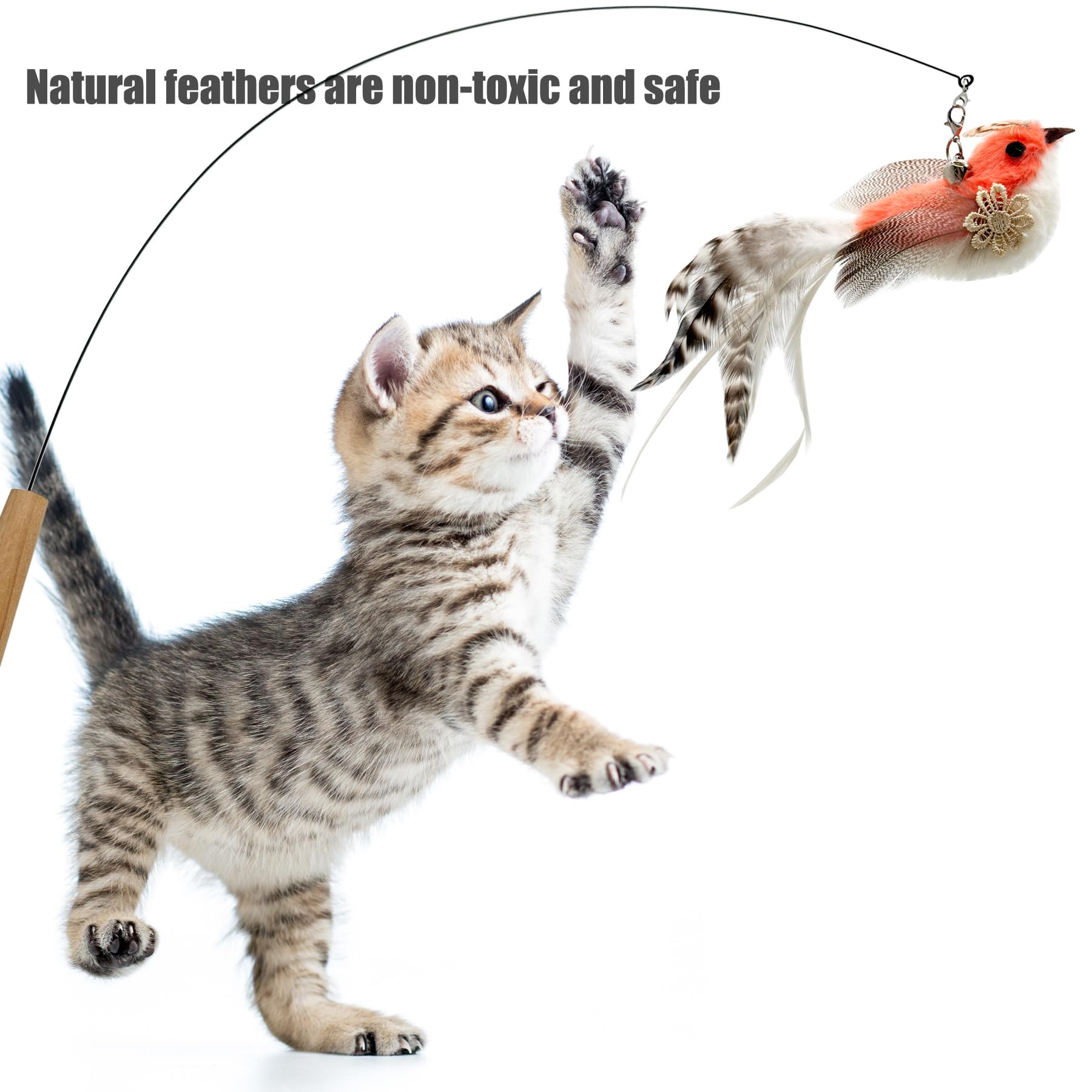 Recambios de varita de juguete de repuesto para gatos, 5 piezas de plumas naturales, plumas de pájaro y gato, plumas de repuesto para varita de gato