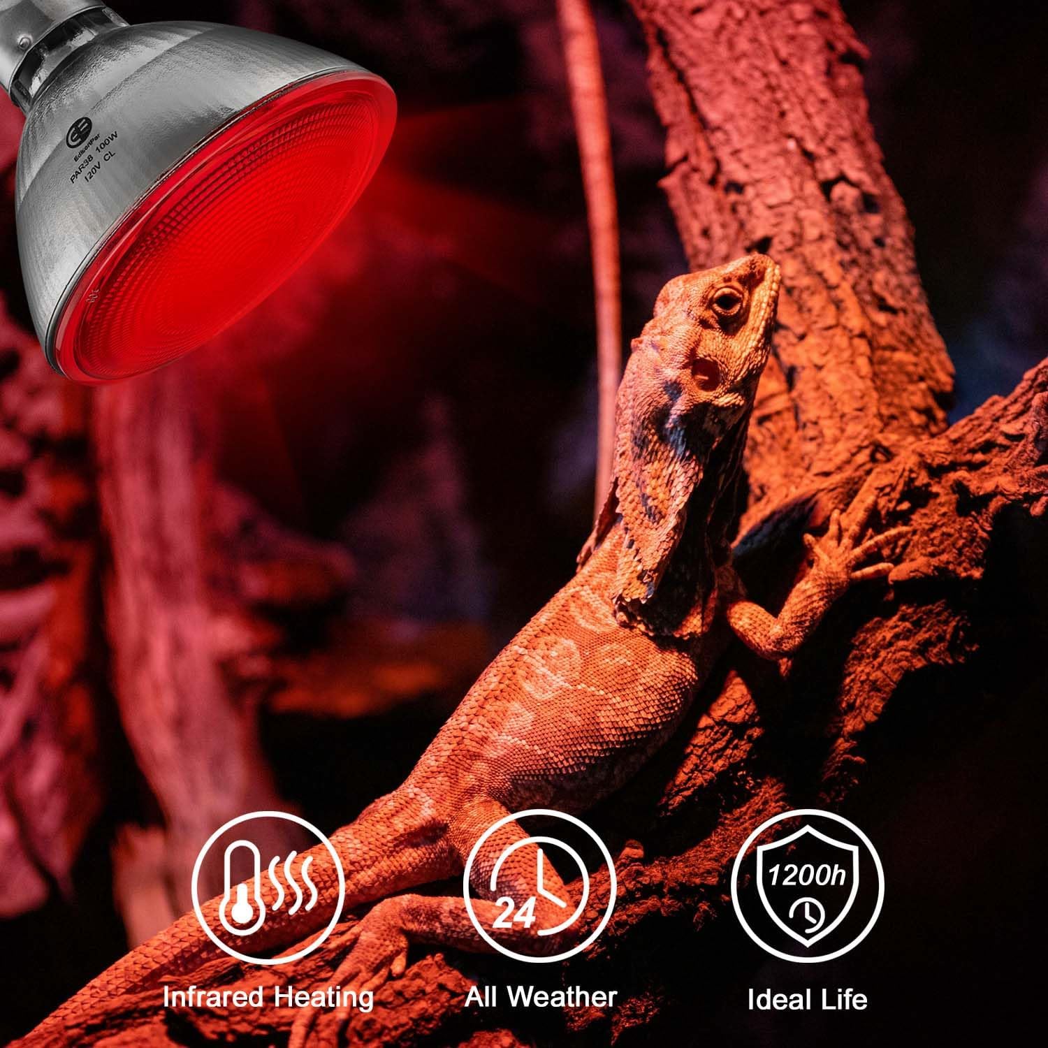 Red Heat Lamp Infrared Light for Reptiles Tanks, Chickens, Food Service, Brooder Bulb, Pet, Bathroom, Light Therapy, 100-Watt, 6-Pack