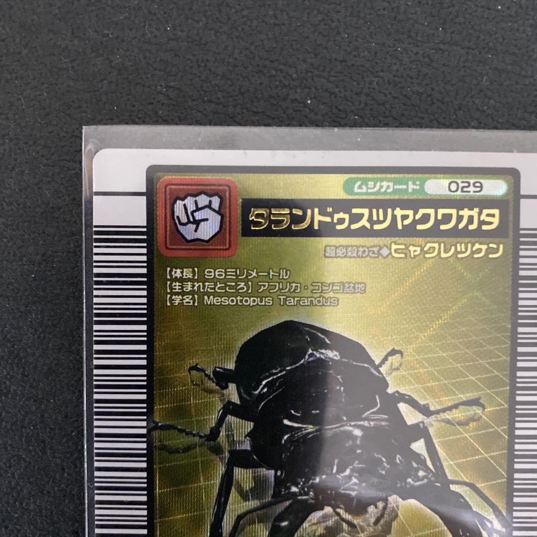 ムシキング　タランドゥスツヤクワガタ トレーディングカード 029 ムシキング タランドゥスツヤクワガタ トレーディングカード 029
