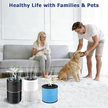 BAMBOOST Pack of 2 AP0601 Replacement Filters Compatible with Airtok AP0601 Air Purifier, 4-Stage Filter System, H13 True HEPA Filter and Highly Efficient Activated Carbon Air Filter Replacement
