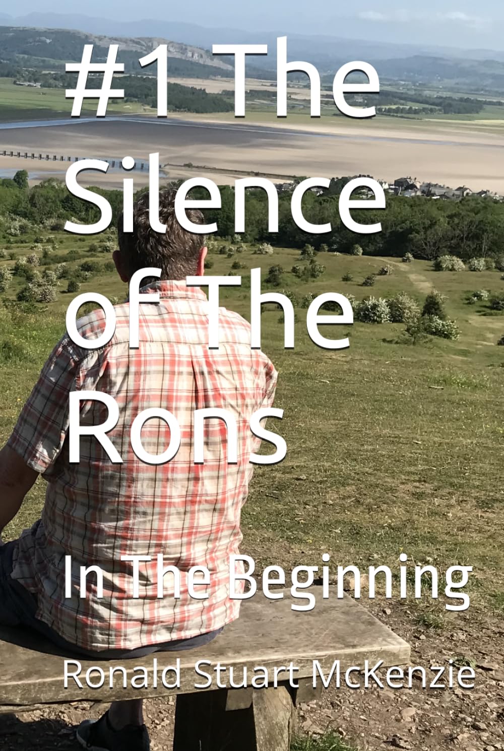 #1 The Silence of the Rons: In The Beginning (The Chronic Chronicles of The Rons)