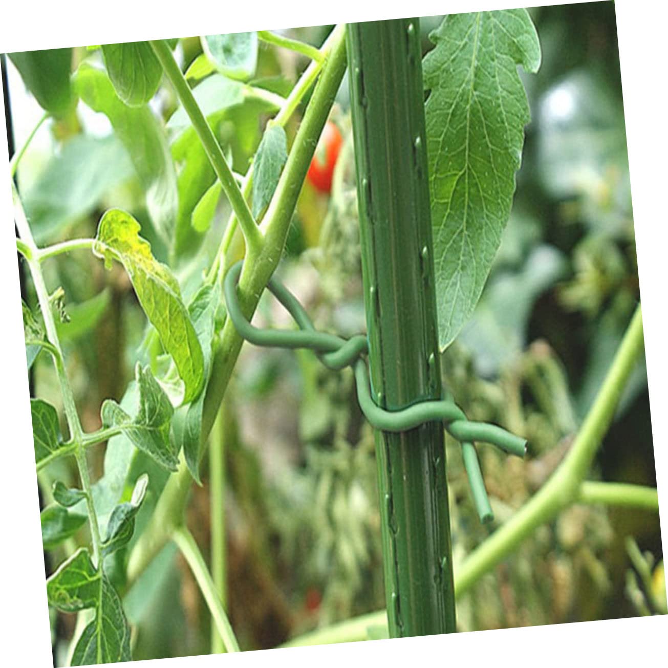 Abaodam Gartenbindeband Flexible Pflanzenbinder Für Tomaten Und Rosen Robuste Langlebige Drahtbinder Aus Verzinktem Unterstützung Für Blumen Und Gemüse Praktisches Zubehör Für Garten