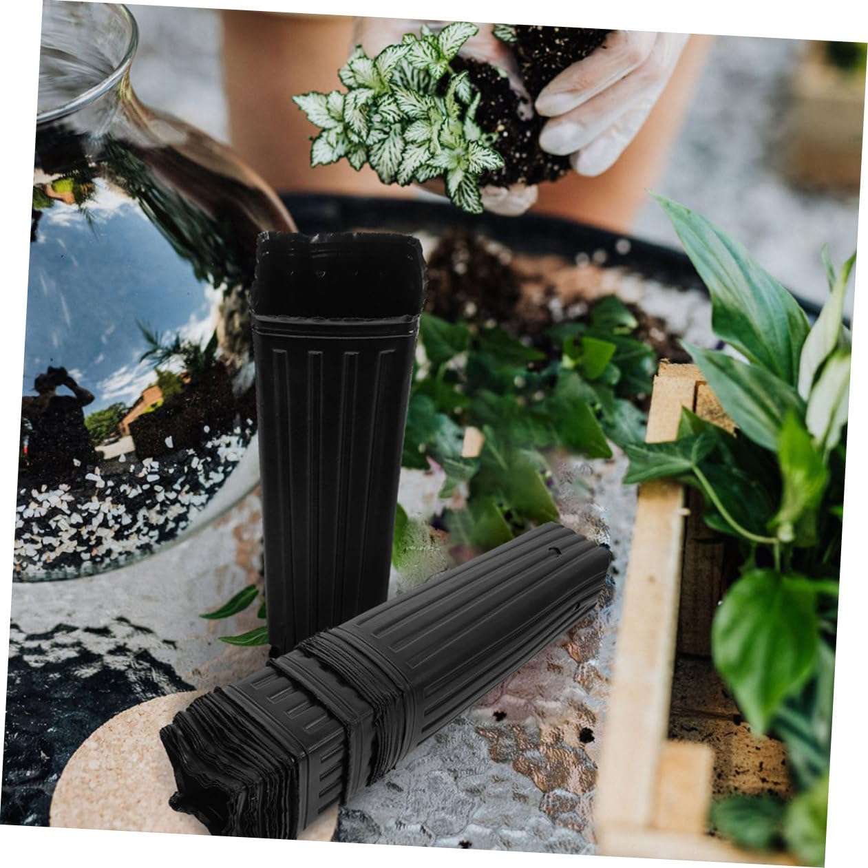 MAGICLULU Lot de 60 Godets pour Semis Plastique Noir pour Arbres et Fleurs, Pots de Culture Épais en PP Perméabilité à l'eau, pour Pépinière et Jardinage