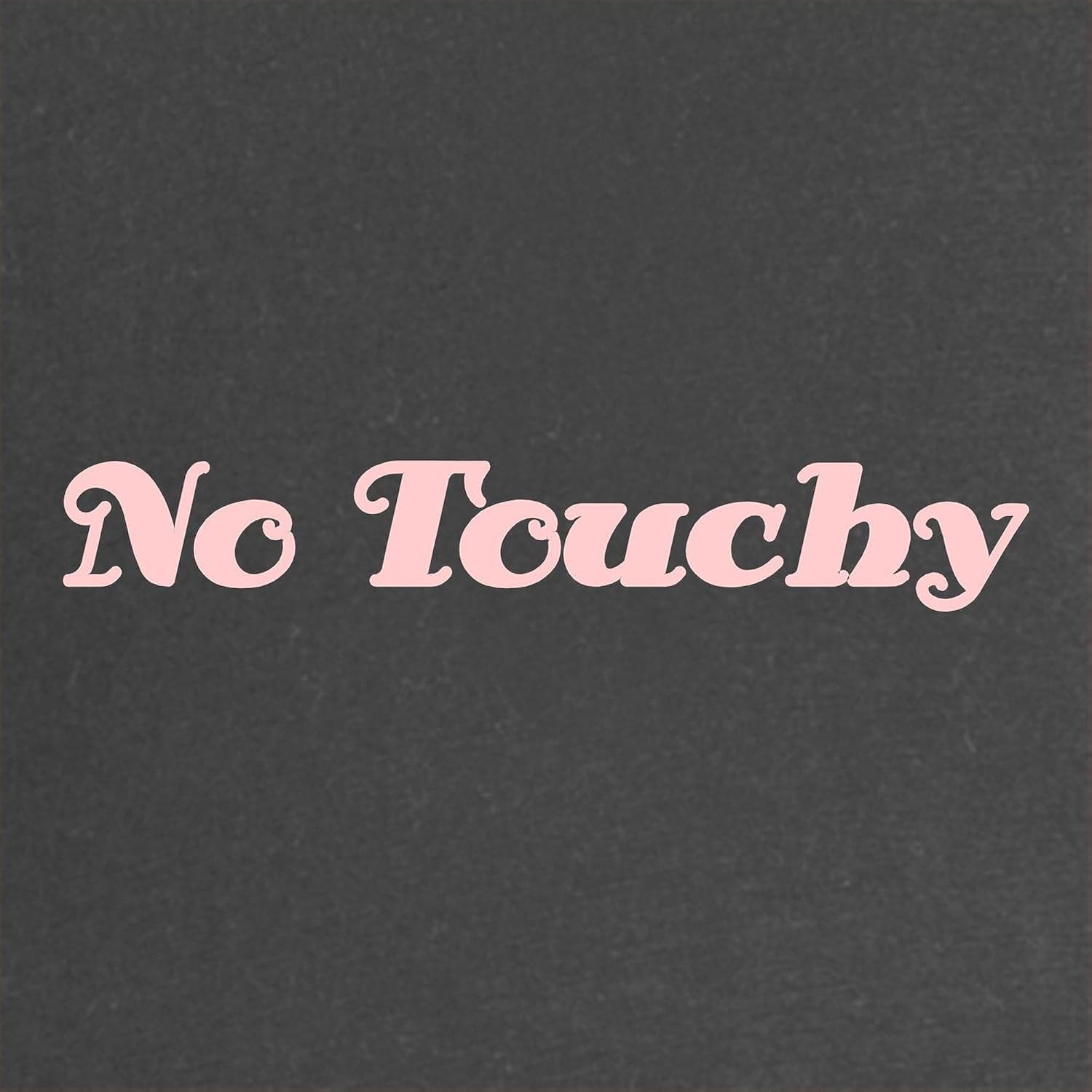 CafePress No Touchy Belly Maternity Dark T Shirt Women's Maternity Ruched Side T-Shirt