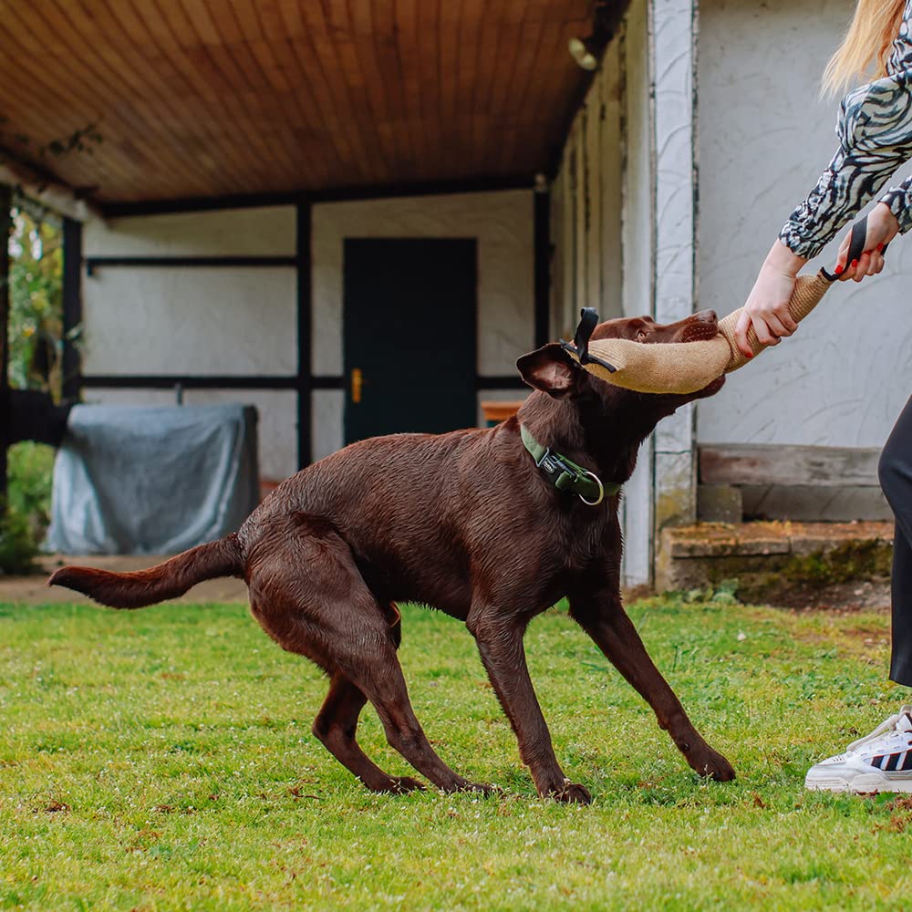 Nobby Jute Dummy - Manico Per Juta 28x7 Cm, 150 G - Foto 9