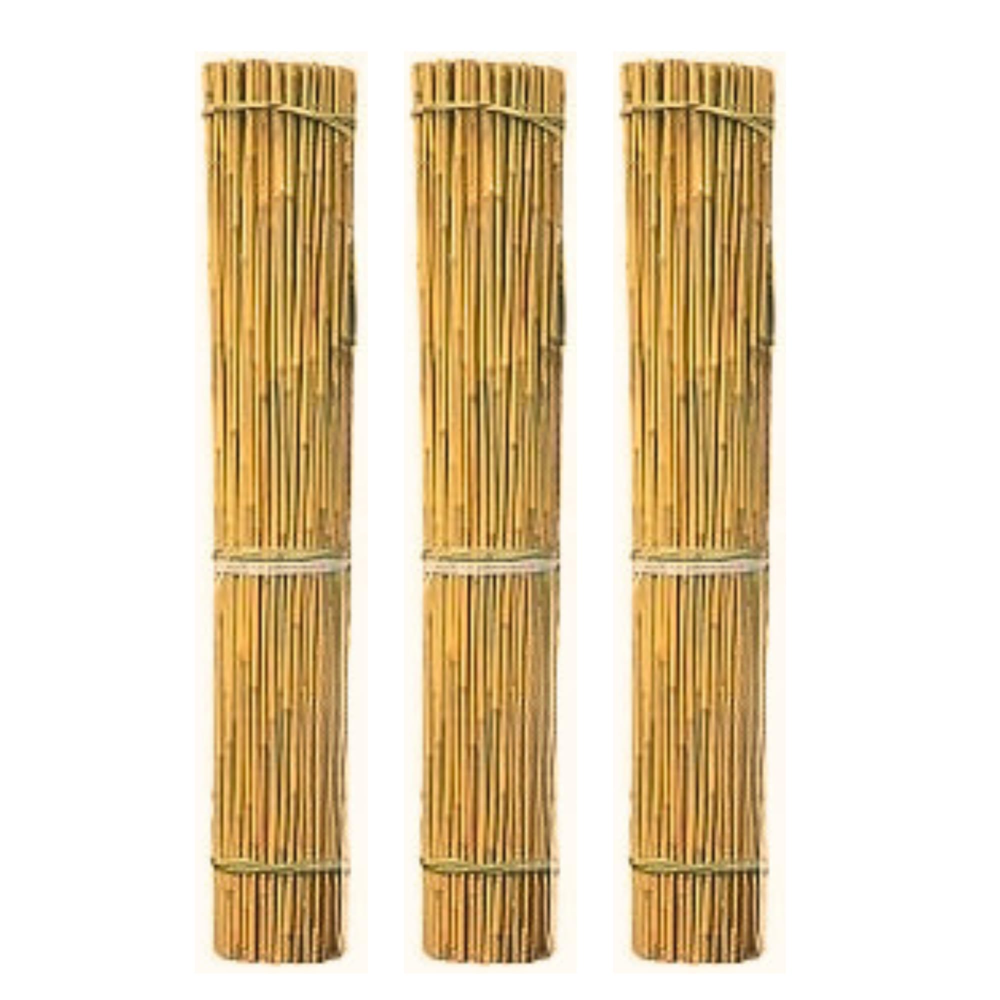 Control Garden Pack 250 Unidades Tutor de Bambú Ecológico de 180 cm | Estaca Natural Caña Sujetar Plantas ø 10-12 | Varillas Árboles, Hortalizas, Enredaderas y Cultivos