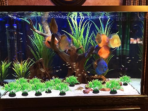 Miniatura 5 de Decoraciones para peceras de acuario, 12 piezas pequeñas de plástico artificial verde para pecera, adornos seguros para peces Betta