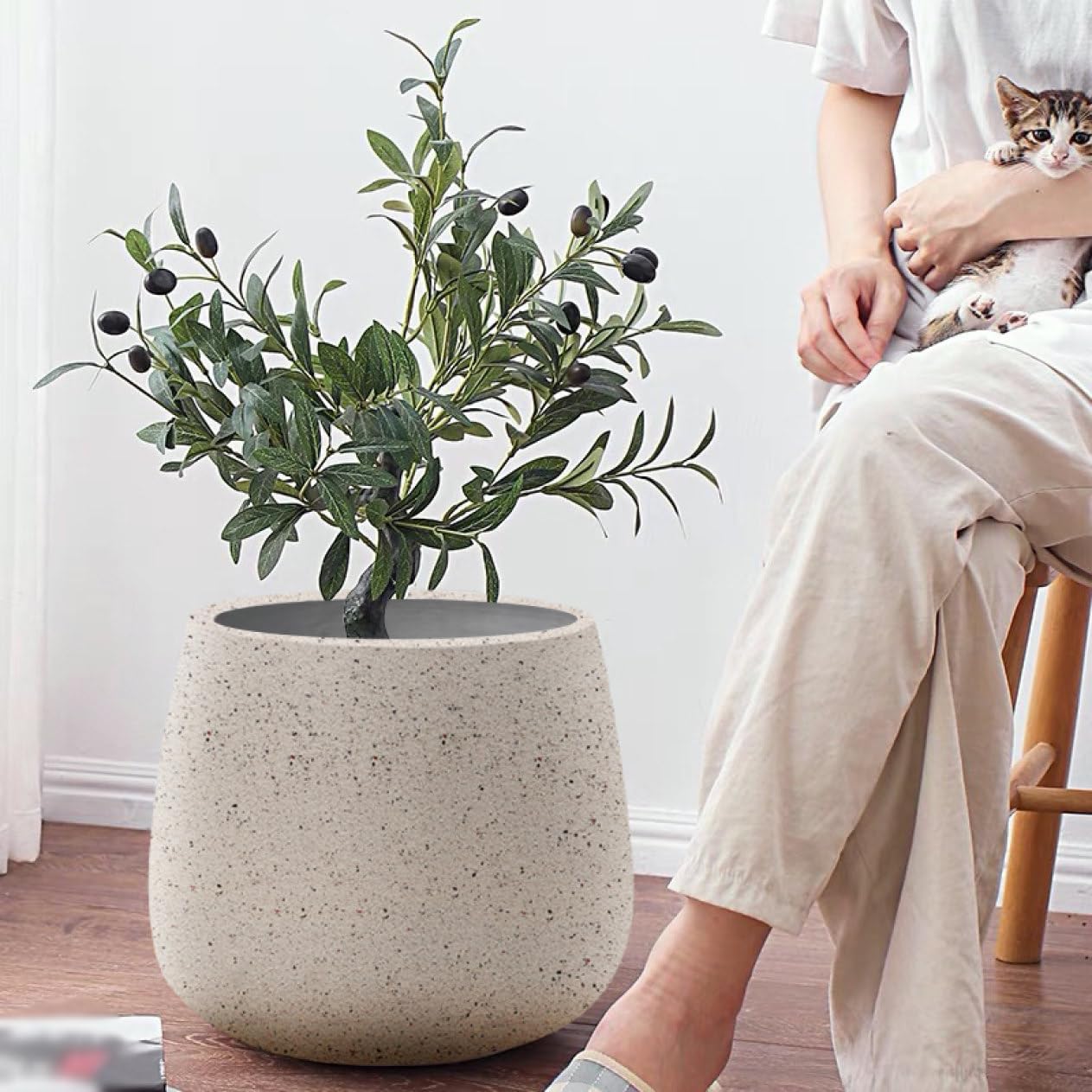 超ロング 洋ラン バンダ ミカワ ブルーオーシャン 蘭 【生花】国産