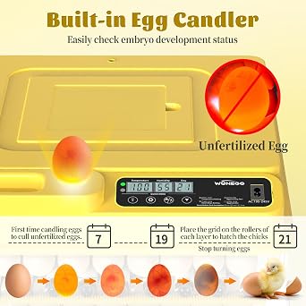 288 Egg Incubator for Hatching Eggs, Fully Automatic Egg Incubator with Auto Temp/Water/Turning, for Chicken Duck Goose Quail Pigeon Turtle Eggs, Humidity Control by Bottles, 362 View Clear Window