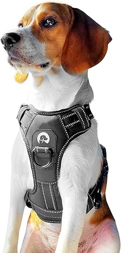 Benji&Me Arnés para perro Arnés sin tirones para caminar y entrenar con 2 clips para correa, costuras reforzadas, reflectante, correas ajustables,