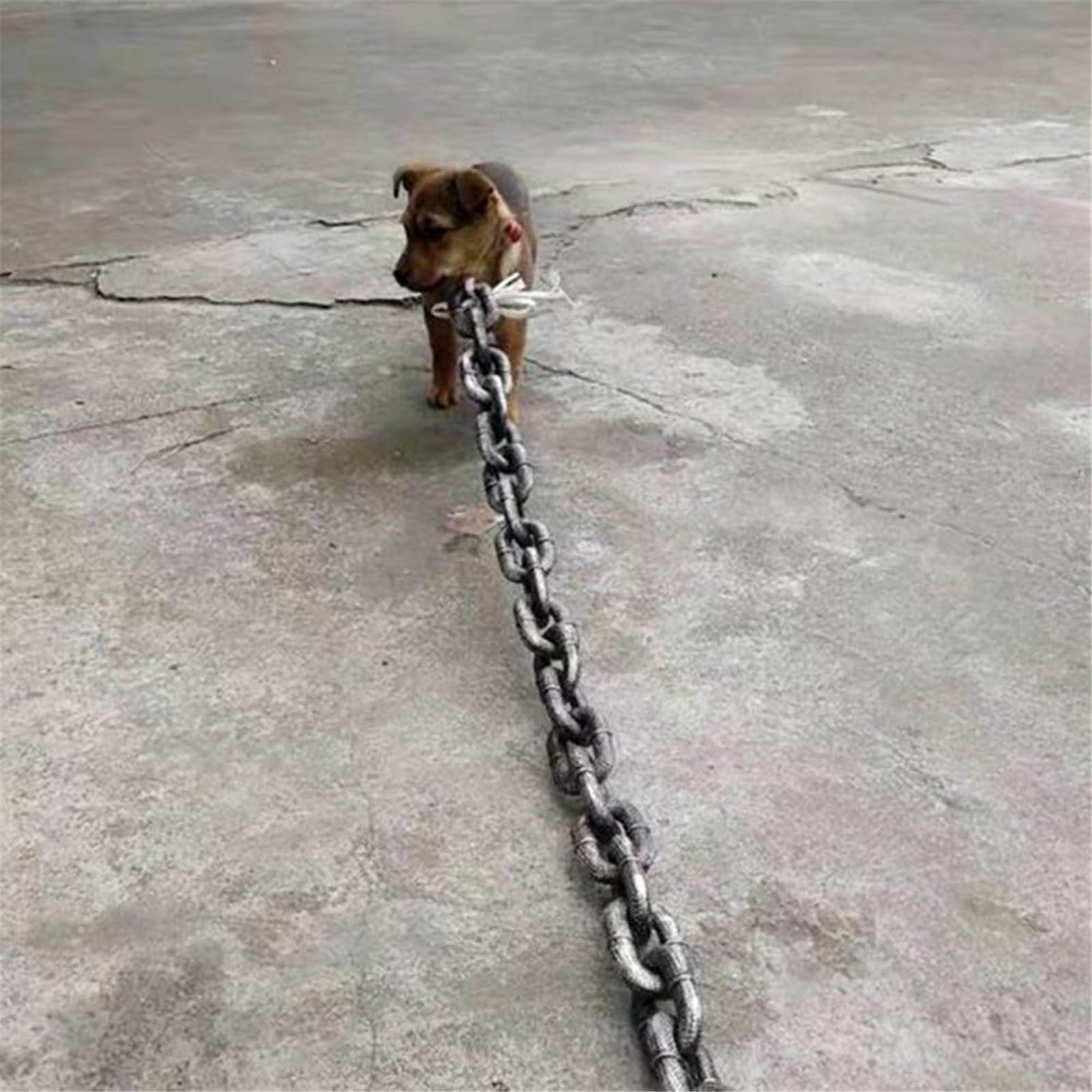 Divertida correa de perro enorme, cadena de hierro de simulación para perros pequeños y gatos, mascotas de tracción de plástico para cachorros (L plateada, 150 cm)
