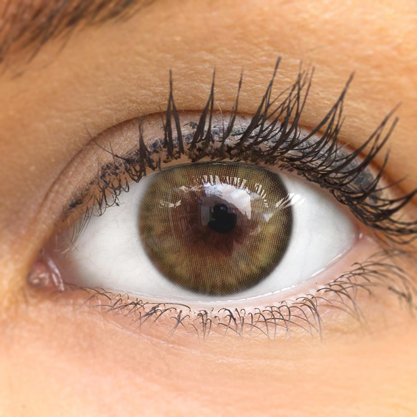 GLAMLENS lentillas de color - verde (Avila Green) + contenedor. 1 par (2 piezas) 90 Días Sin Graduación 0.00 dioptrías blandos Lentes de contacto verdes de hidrogel de silicona