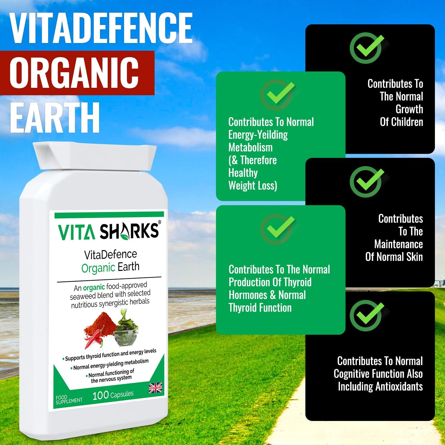 VitaDefence Organic Earth, 100 count (Pack of 1) - Image 5