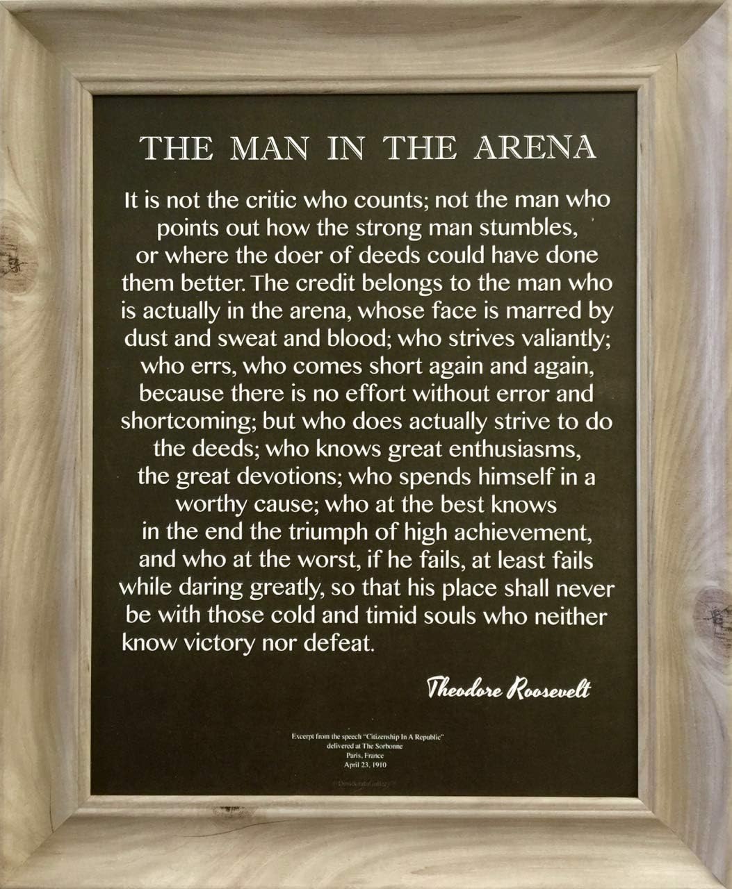 Brand - Framed Words of Wisdom by Theodore Roosevelt Signature Collection-The Man In The Arena 13x16 Gray Driftwood