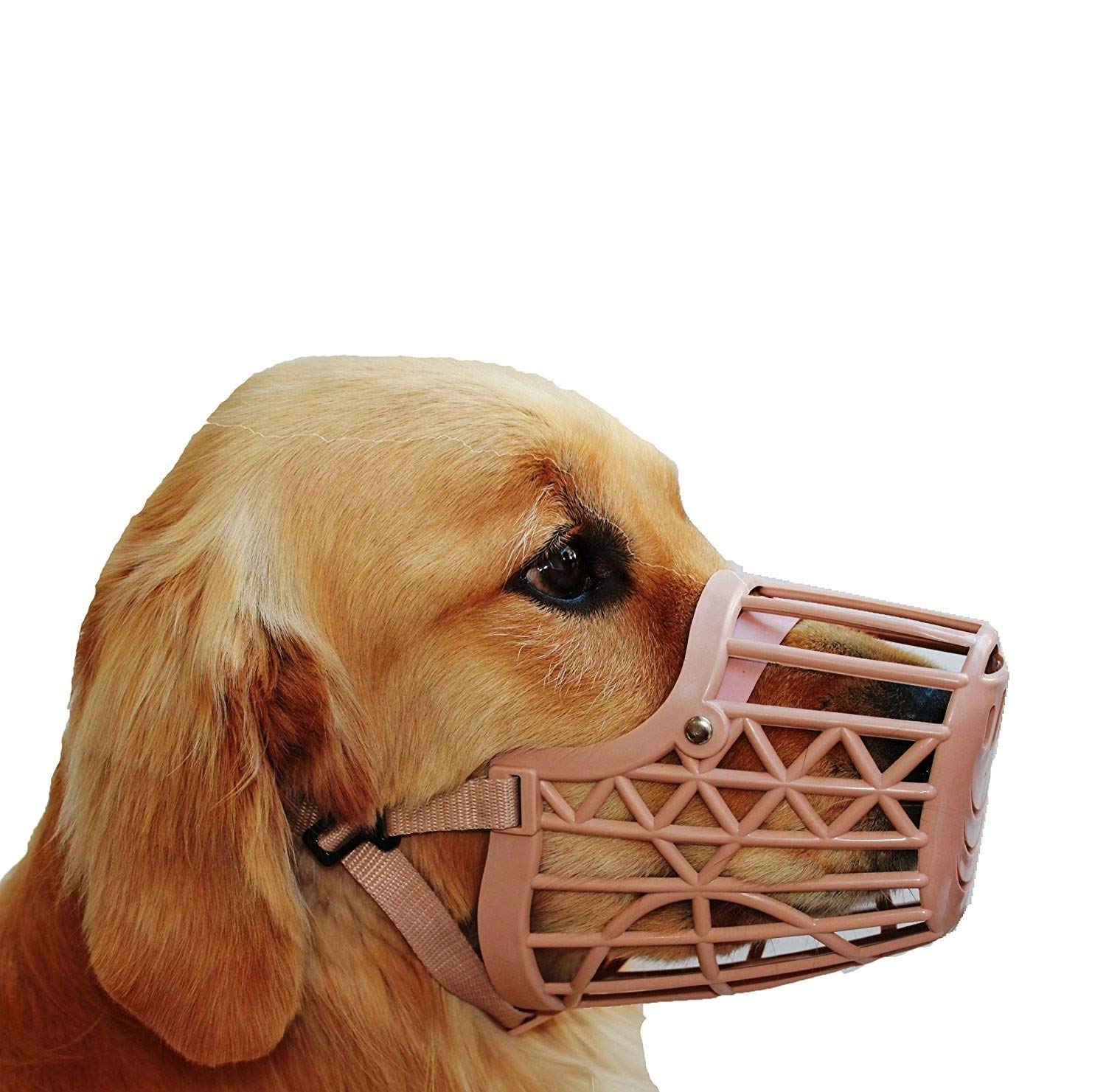 Taiyo Pluss Discovery Dog Muzzle/Adjustable Strap with Leather/Mouth Cover for Anti Biting/Color: Beige/Size: L- 5 Inch, H- 5.2 Inch/TAIYO PLUSS DISCOVERY (NO:4) (B08GSRGHS5) Amazon Price History, Amazon Price Tracker