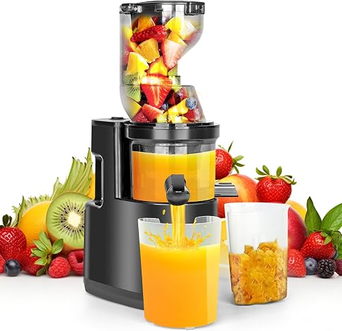 ® 550W Extracteur de Jus Dreamhigh