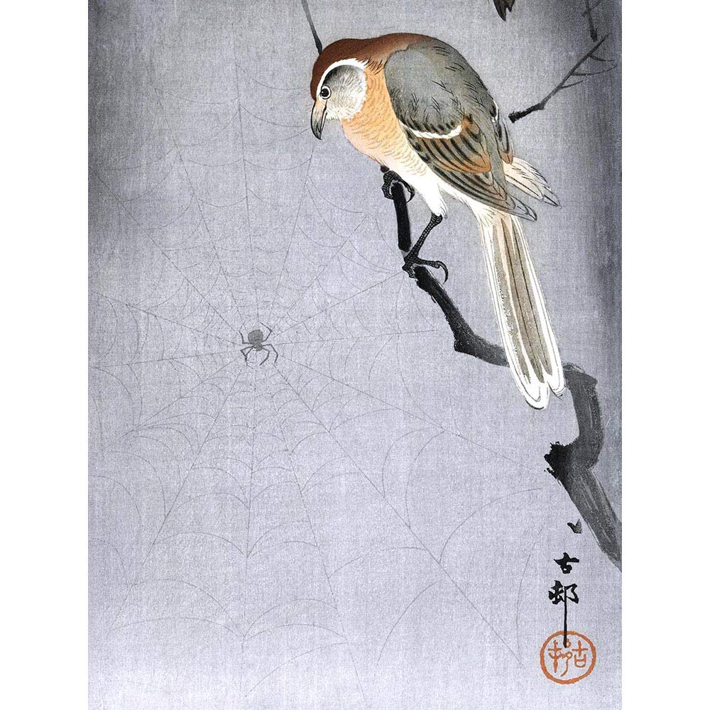 Wee Blue Coo Buffalo Shrike Spider Ohara Koson Art Print Poster Wall Decor 12X16 Inch