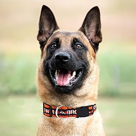 Pets First NFL Denver Broncos Licensed PET COLLAR, Extra Large - Heavy-Duty, Strong, and Durable Dog Collar. Available in 31 Football Teams and 4 Sizes