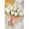 Product Photo 4
