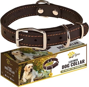 Heavy Duty Black Leather Dog Collar Soft and Strong Dog Collar for Puppy or Small Breeds Like Cavalier and Miniature Schnauzer Small Fit 10" - 14.5" Neck, Black