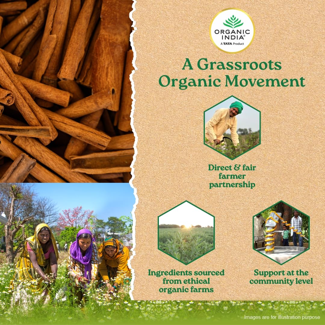 A TATA Product - Organic India Cinnamon - 60 Veg Capsules product image 6