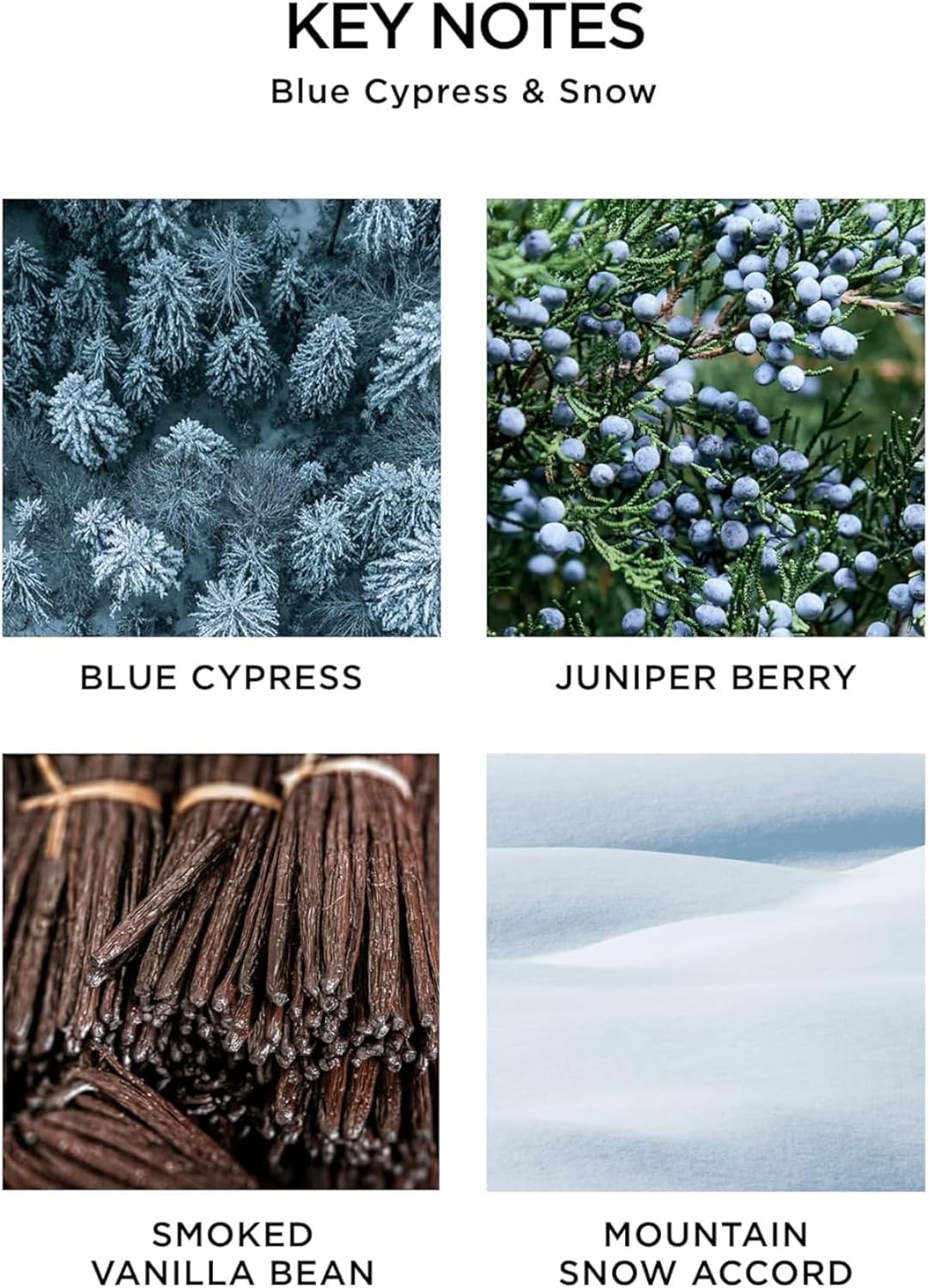 NEST New York Festive Petite Diffuser Trio - 1.3 fl oz Each - Includes Holiday, Birchwood Pine, and Blue Cypress & Snow - Fragrance for Up to 90 Days - Includes All-Natural Reed Sticks - Flame Free - Image 2