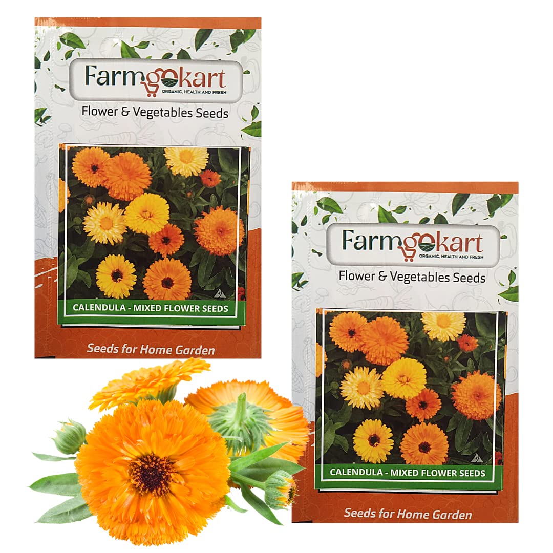 Farmgokart Pack Of 2 Packets Of CALENDULA - FIESTA GITANA MIXED -Flower Seeds|Easy To Grow| Best Suitable For Terrace And Home Gardening| Quality Flower Seeds Pouch (B09NYGHRGN) Amazon Price History, Amazon Price Tracker